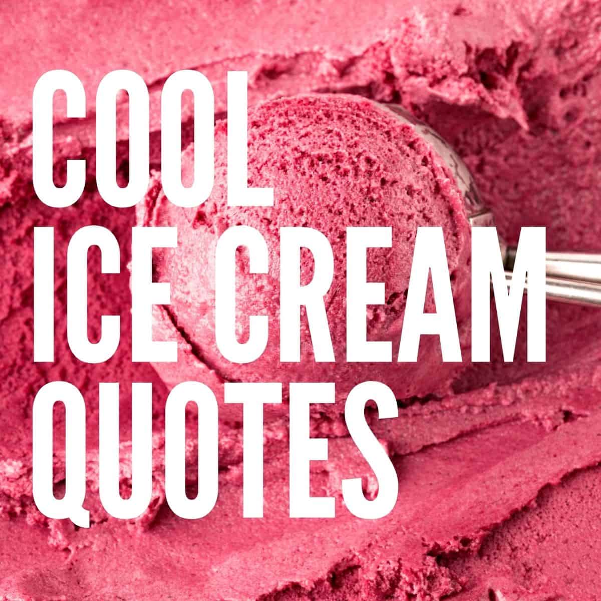 10 Best Cream Quotes