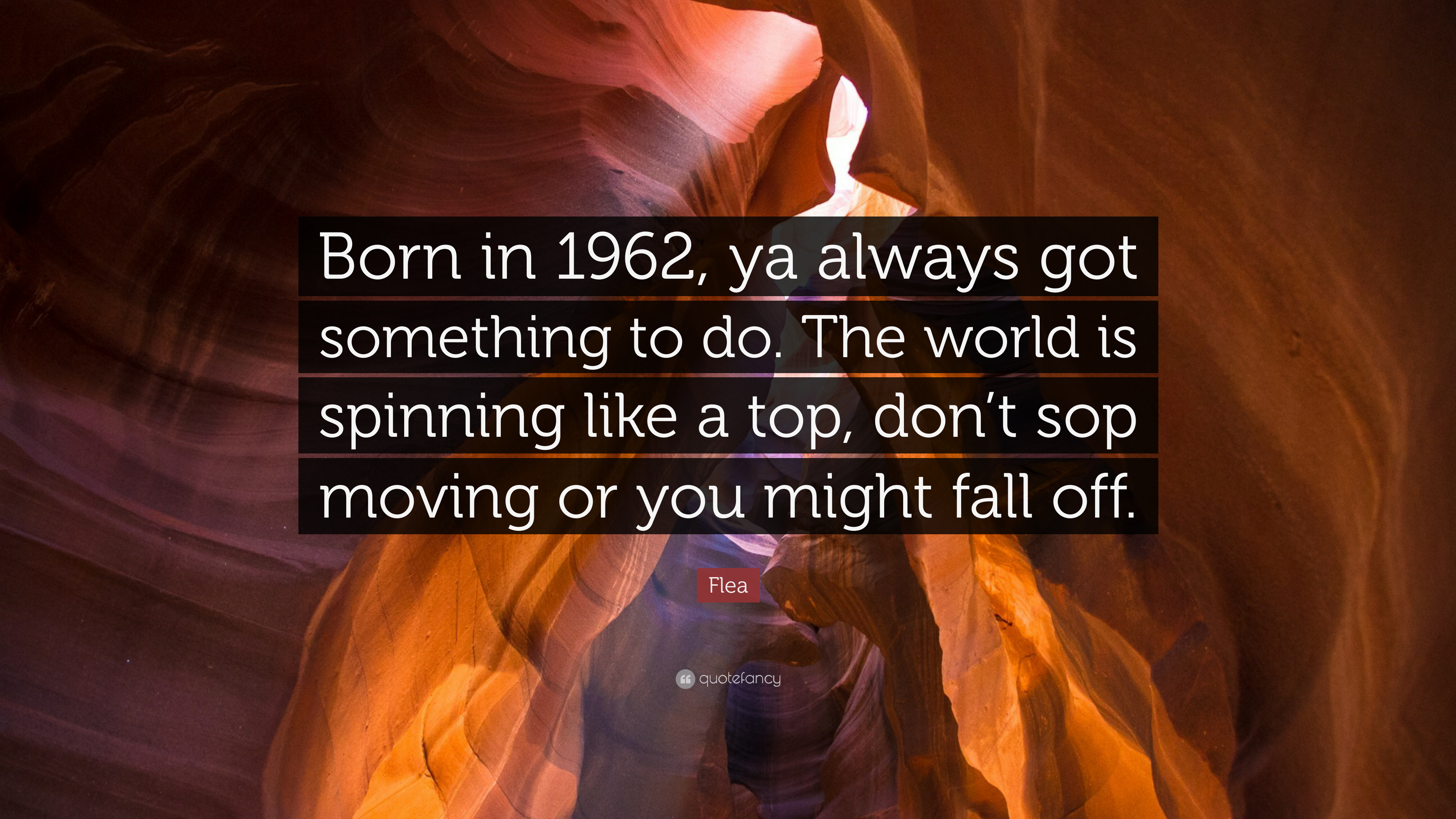 10 Best Flea Quotes