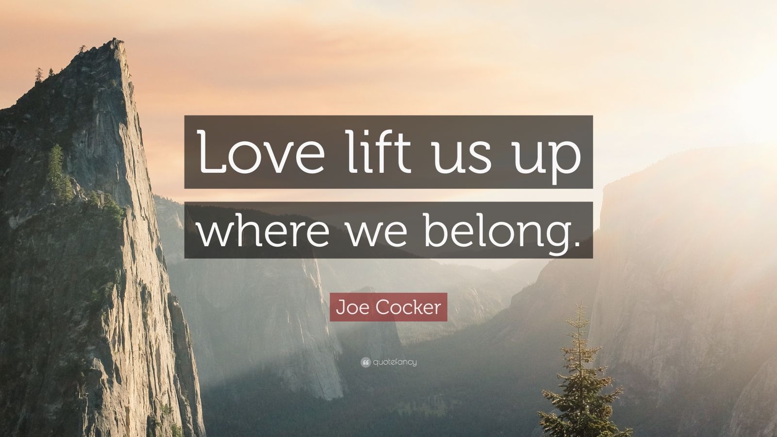 10 Best Joe Cocker Quotes