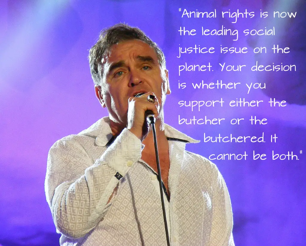 10 Best Morrissey Quotes