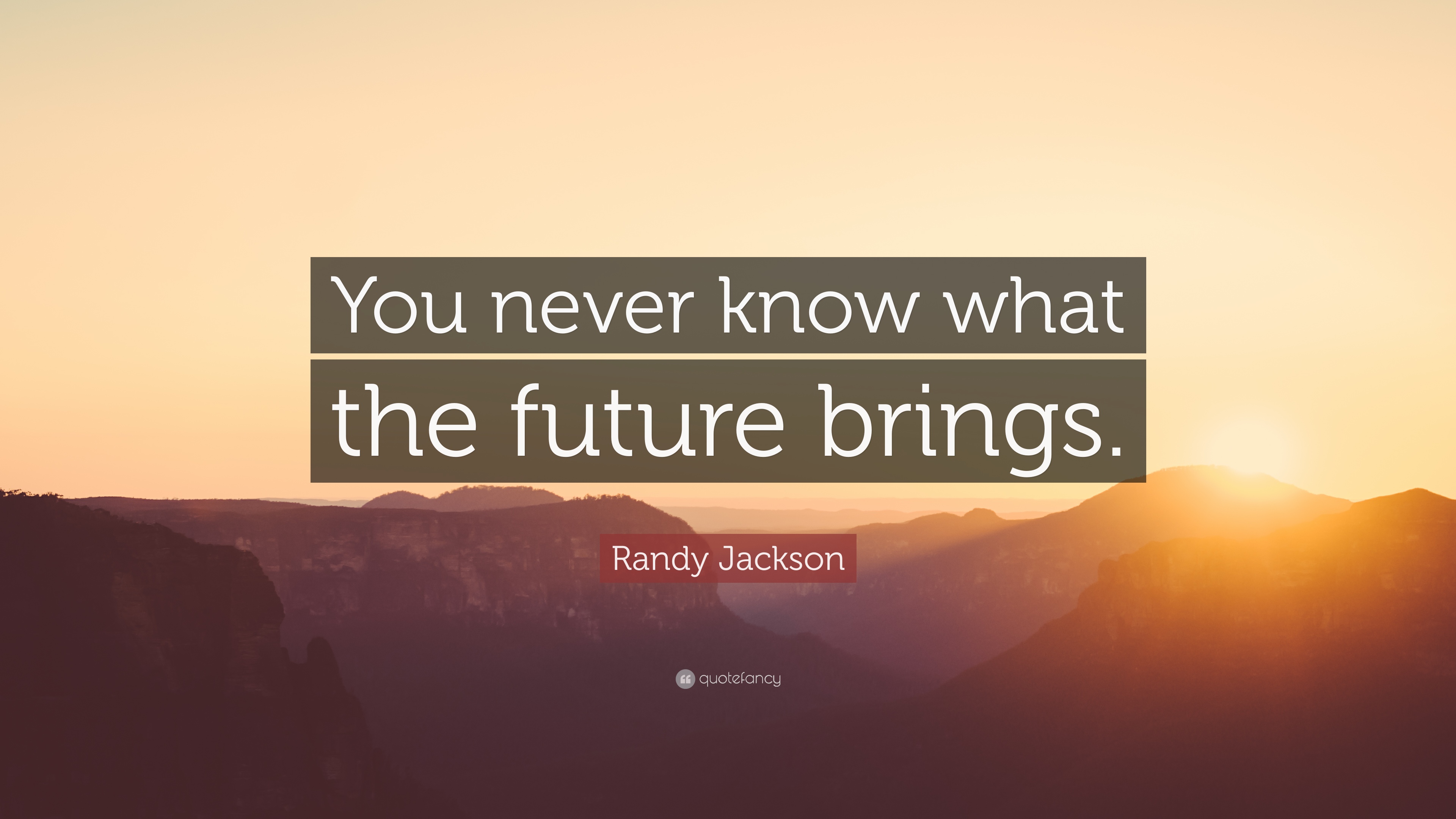 10 Best Randy Jackson Quotes