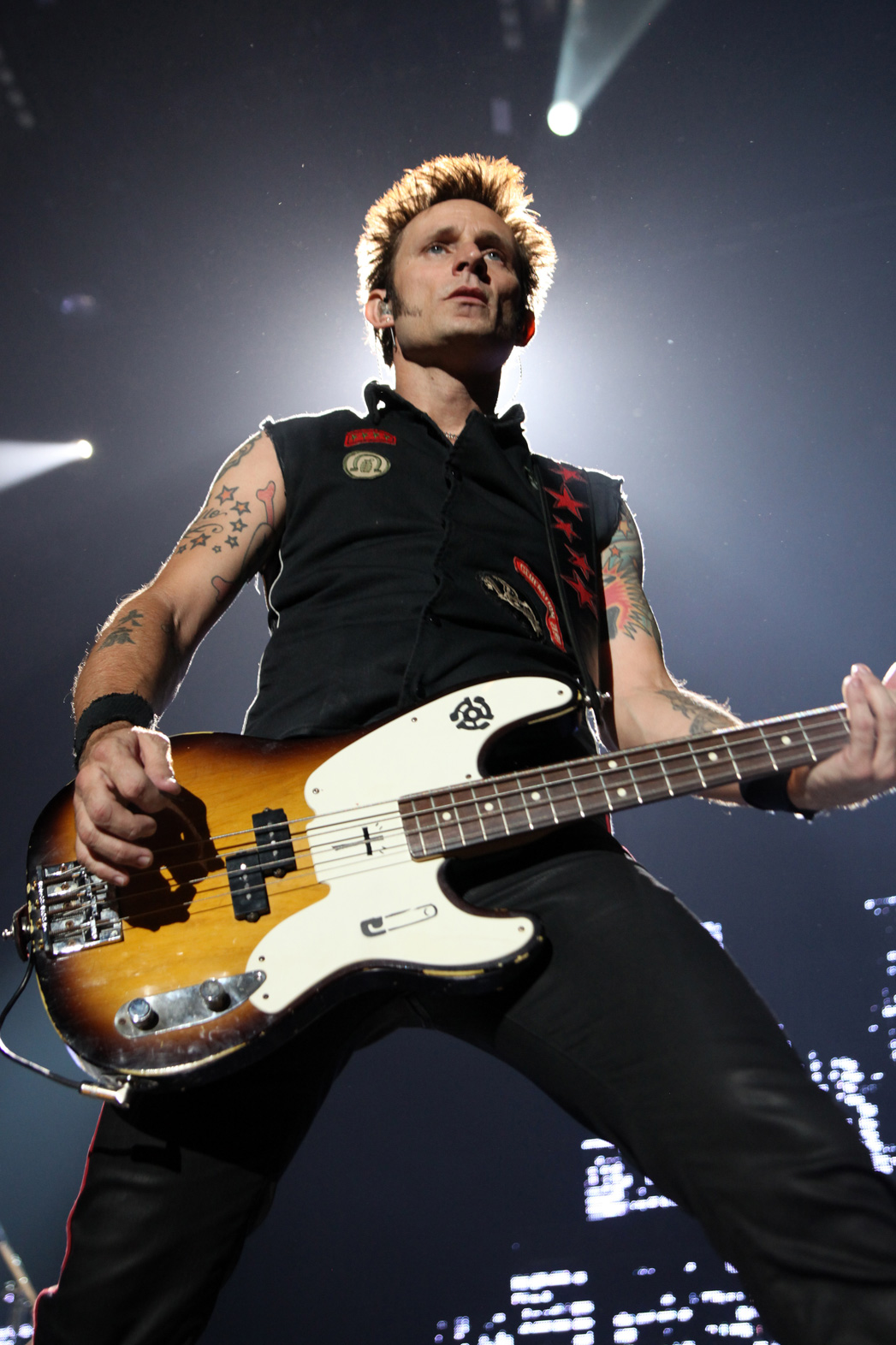 4 Mike Dirnt Quotes About Green Day