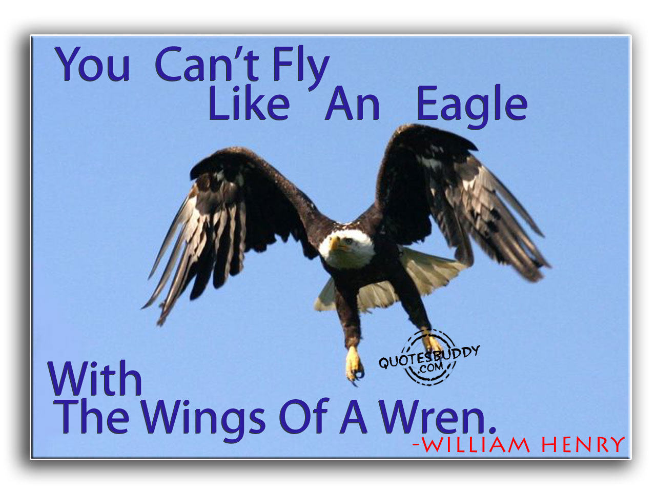5 Famous The Eagles Quotes