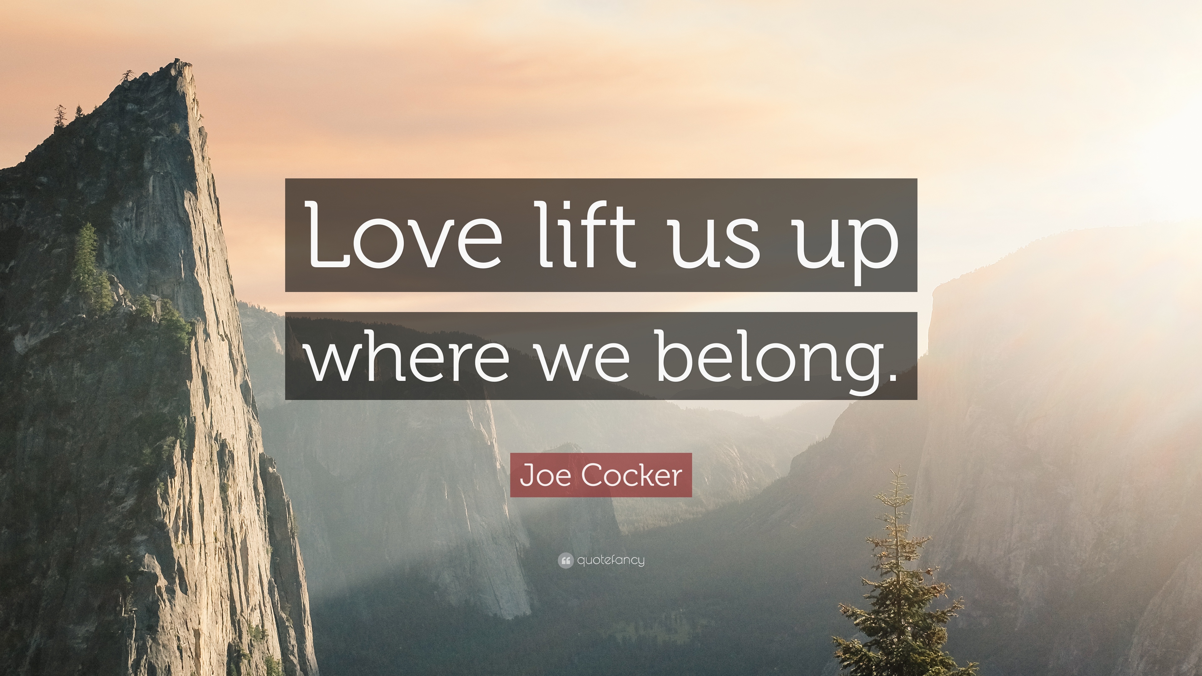 5 Joe Cocker Quotes About Love