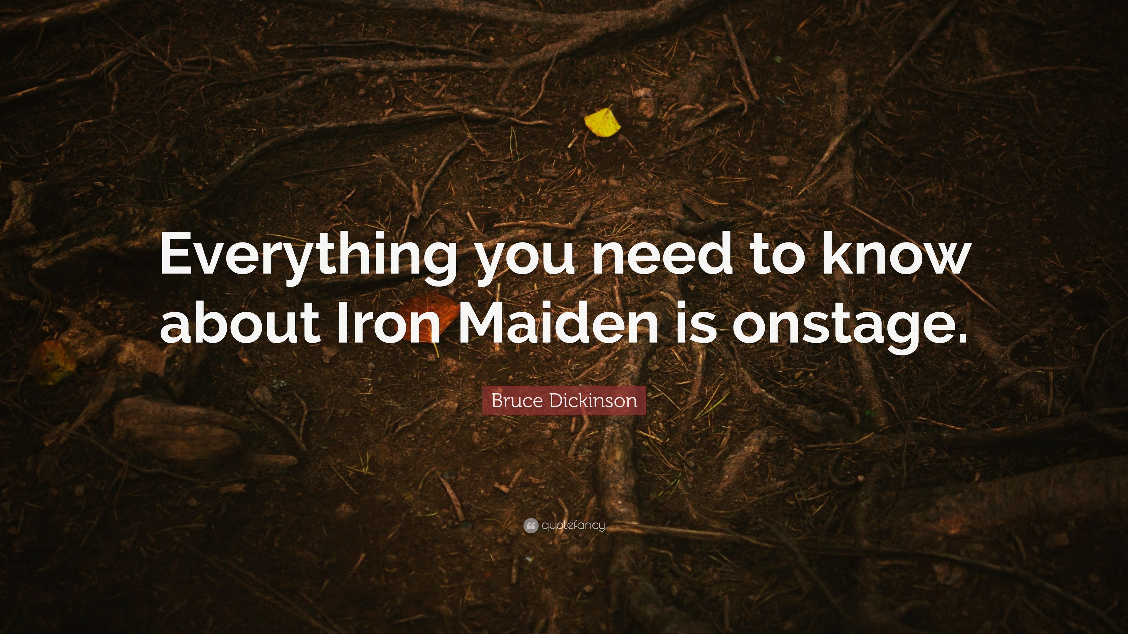 5 Quotes About Iron Maiden