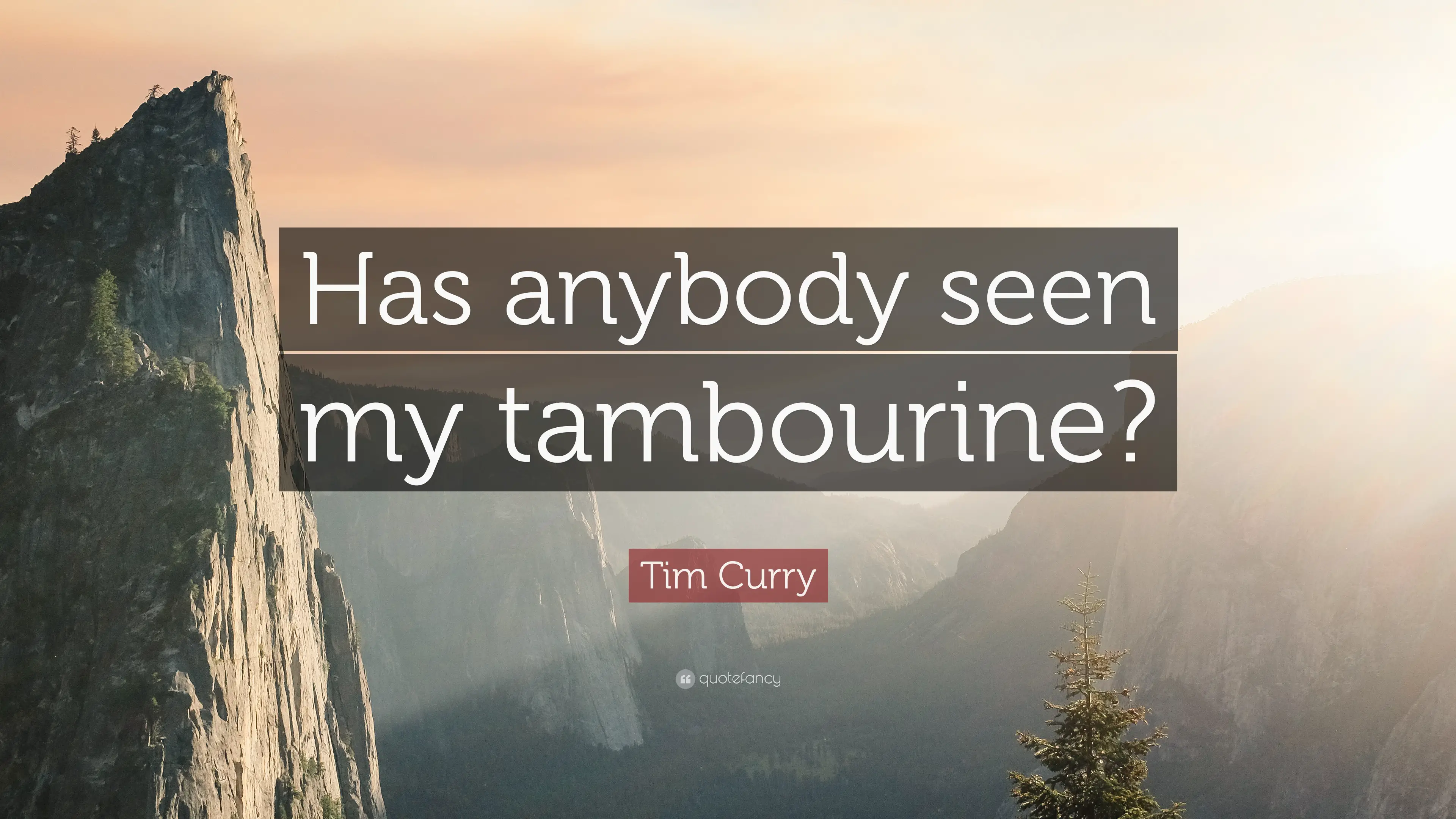 5 Quotes About Tim Curry