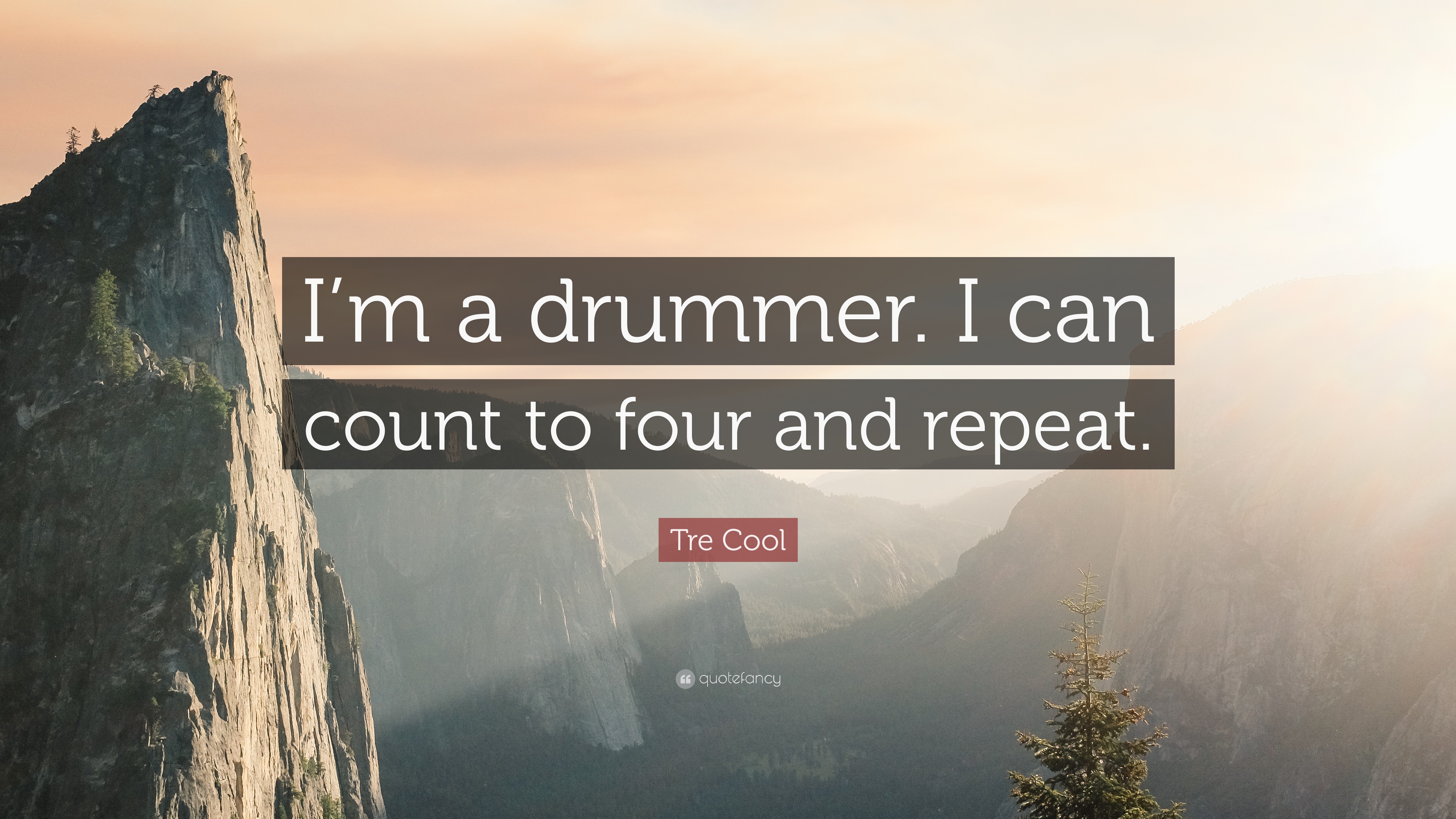 5 Quotes About Tre Cool