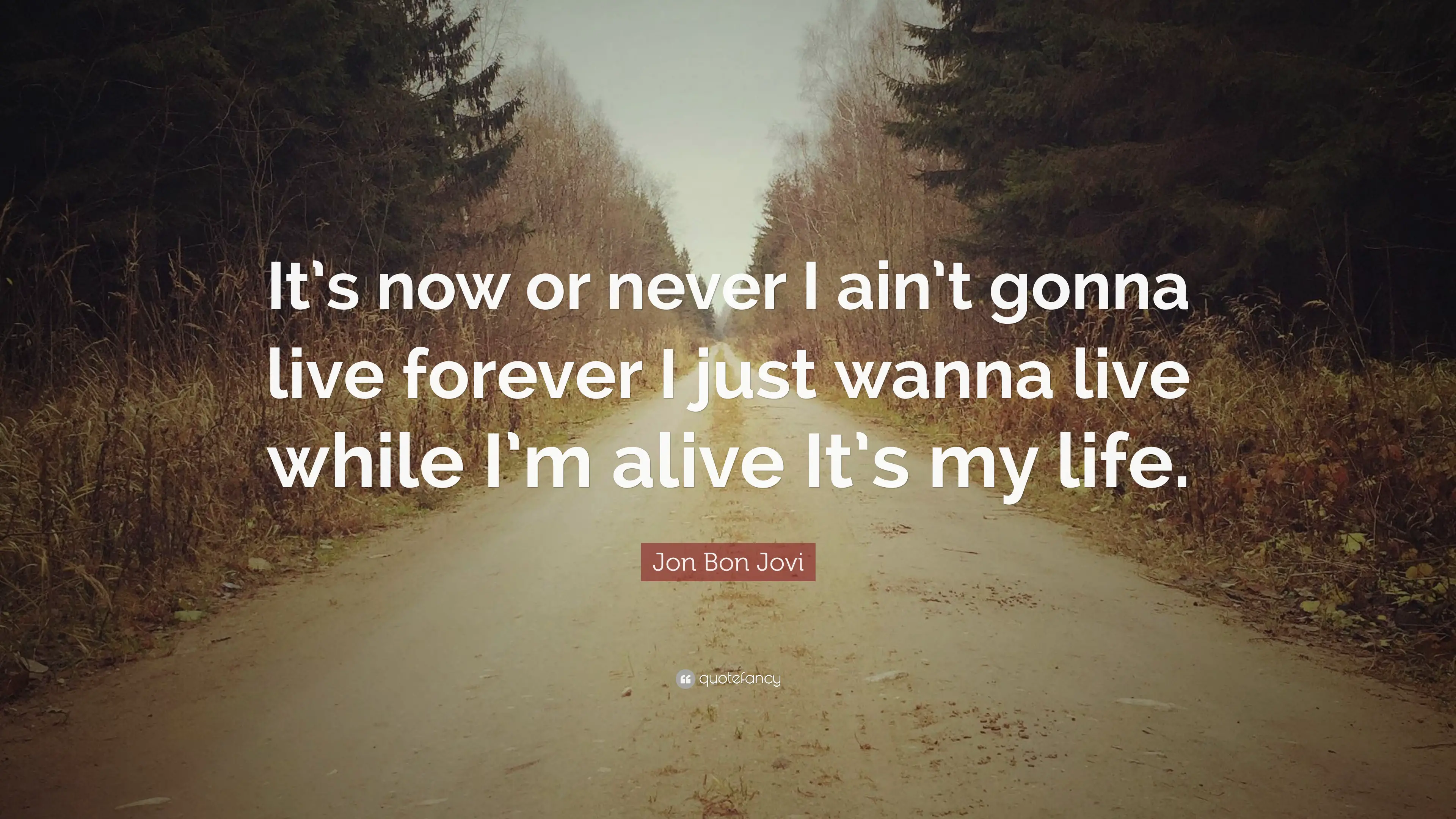 6 Bon Jovi Quotes About Life