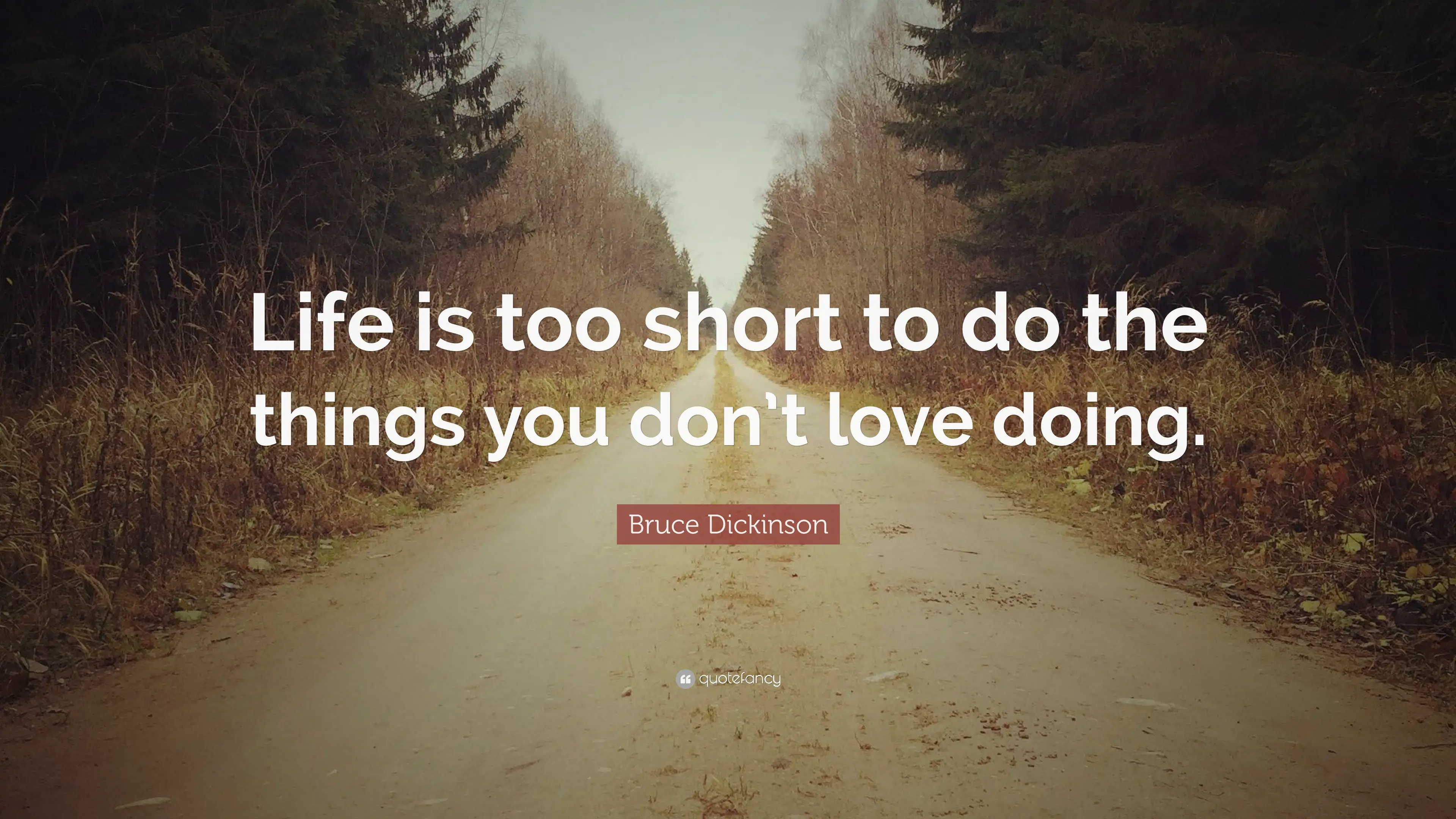 6 Bruce Dickinson Quotes About Love