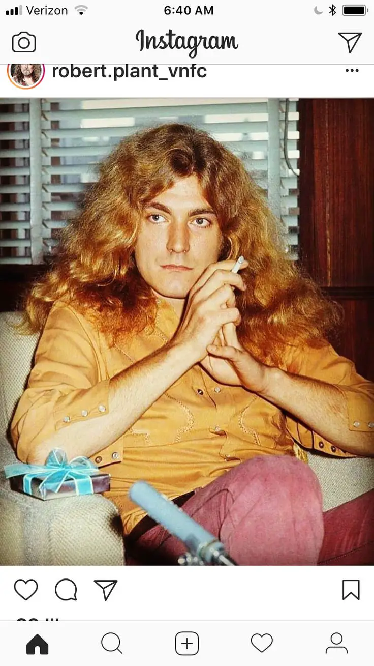 6 Famous Robert Plant Quotes