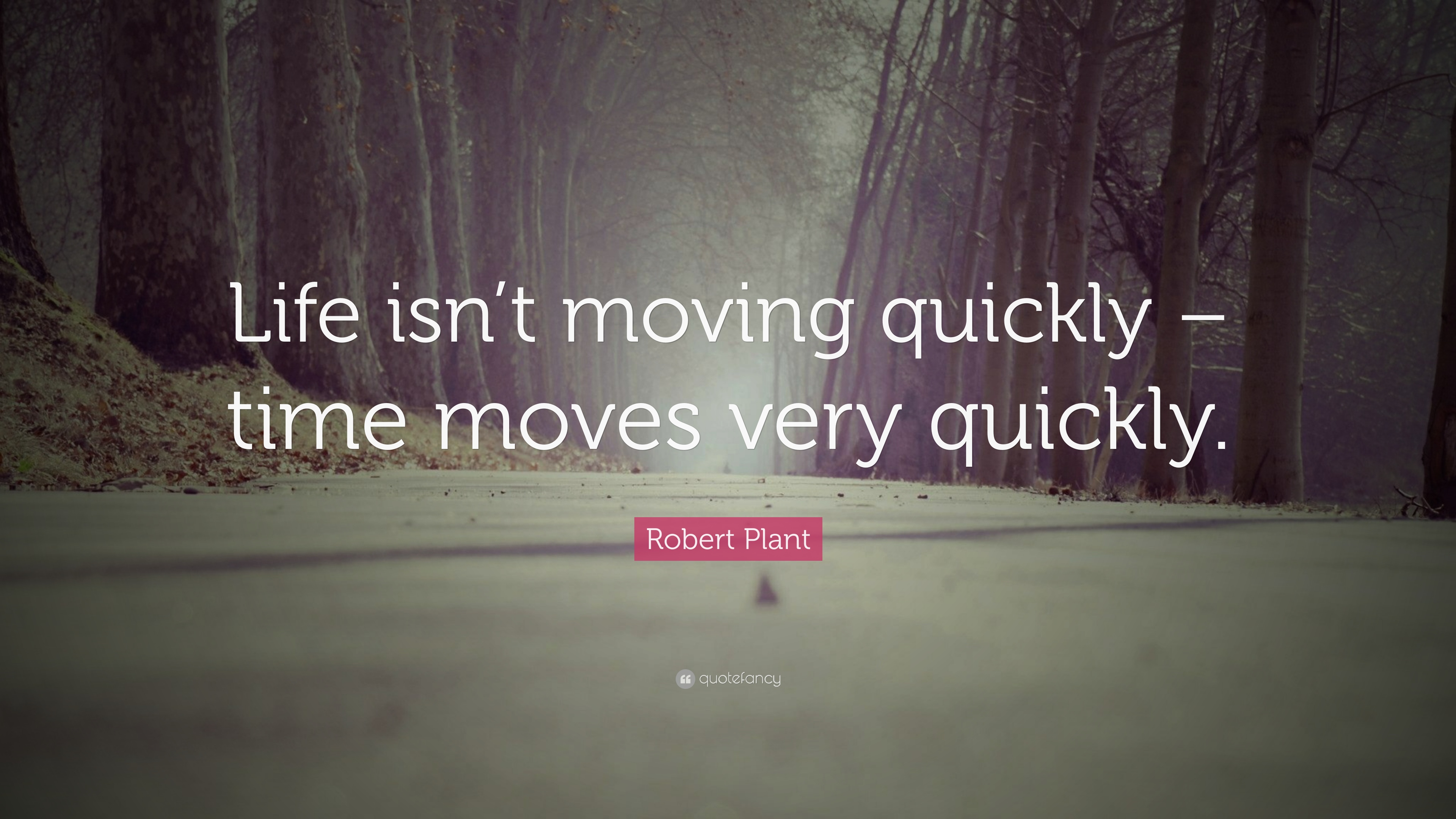 6 Inspirational Robert Plant Quotes