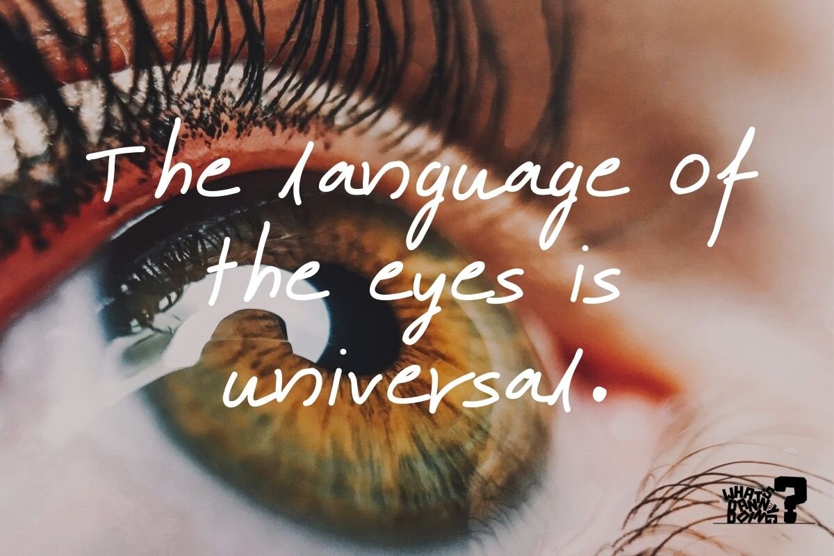 7 Inspirational Bright Eyes Quotes