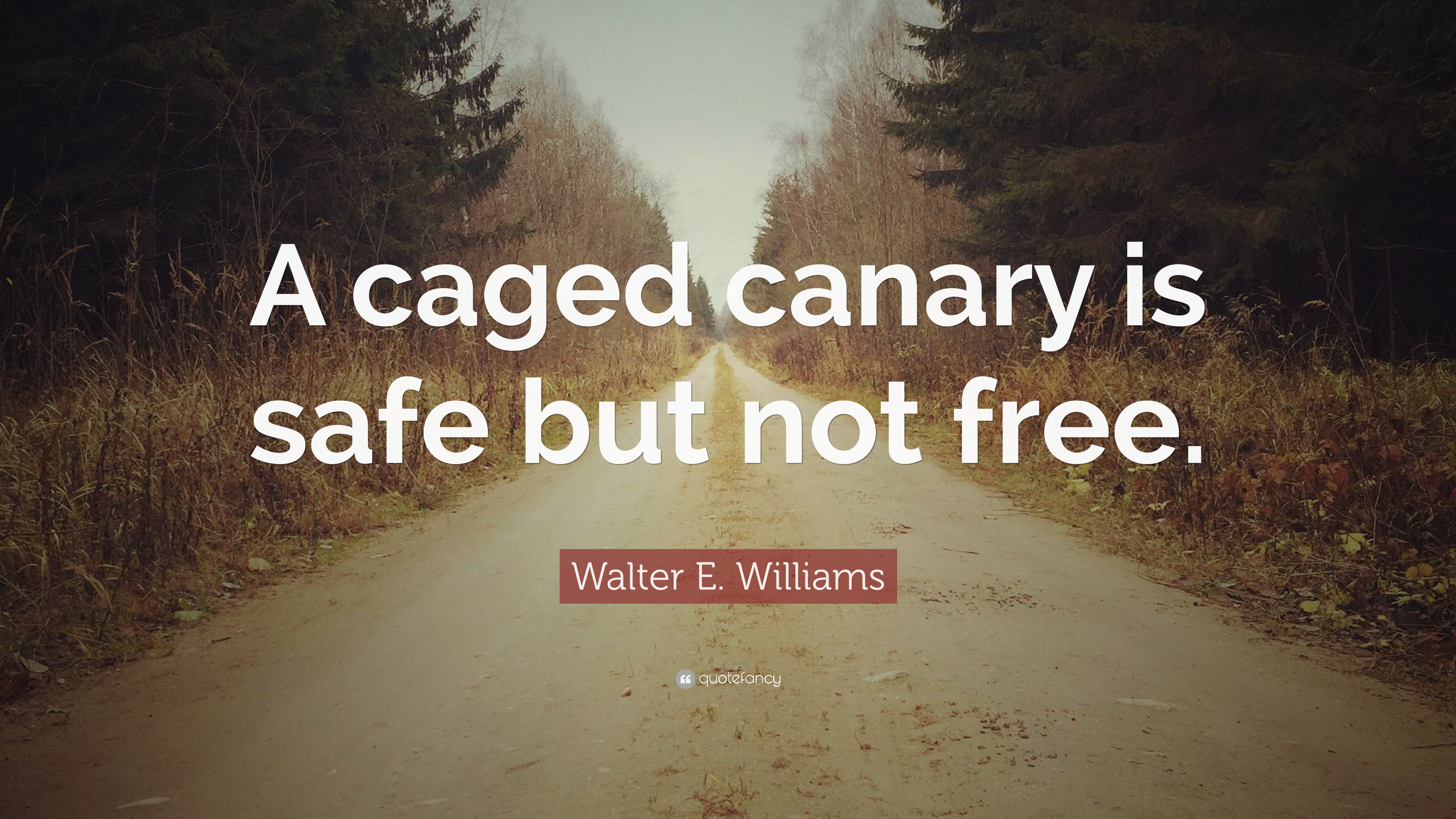7 Inspirational Walter Williams Quotes