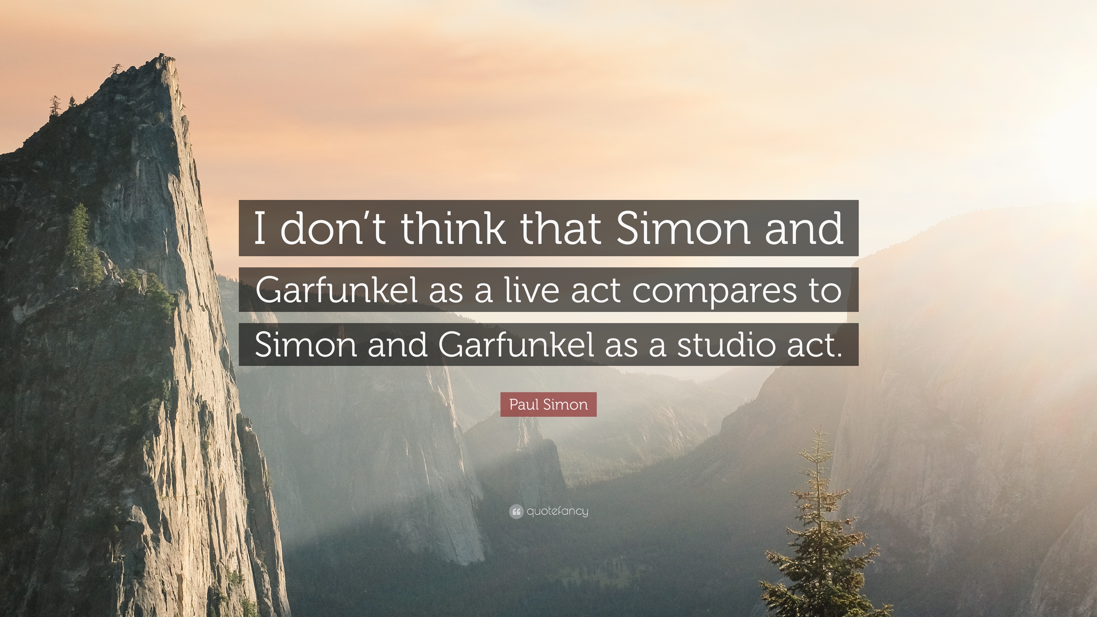 7 Paul Simon Quotes About Simon And Garfunkel