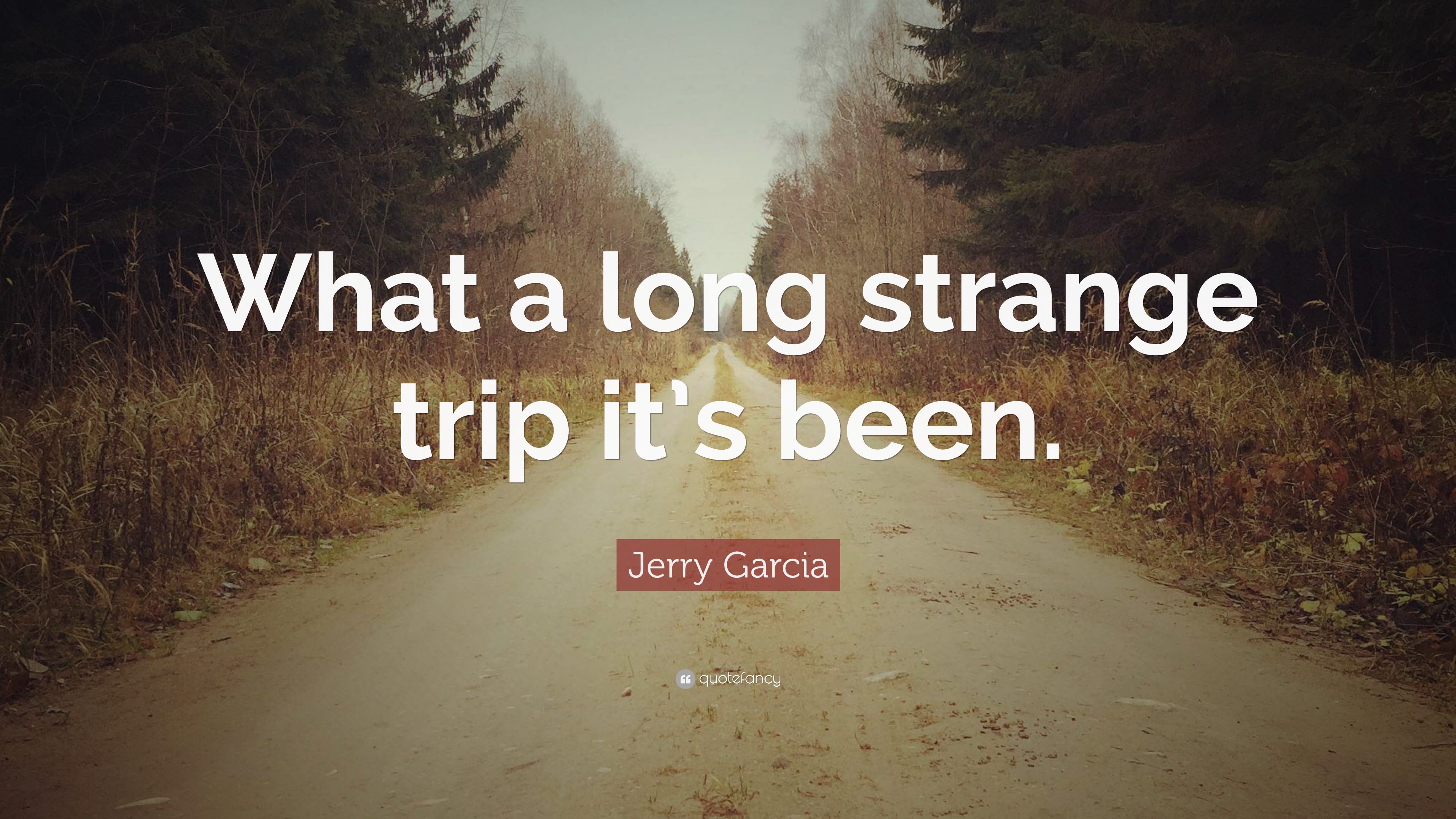 7 Quotes About Jerry Garcia