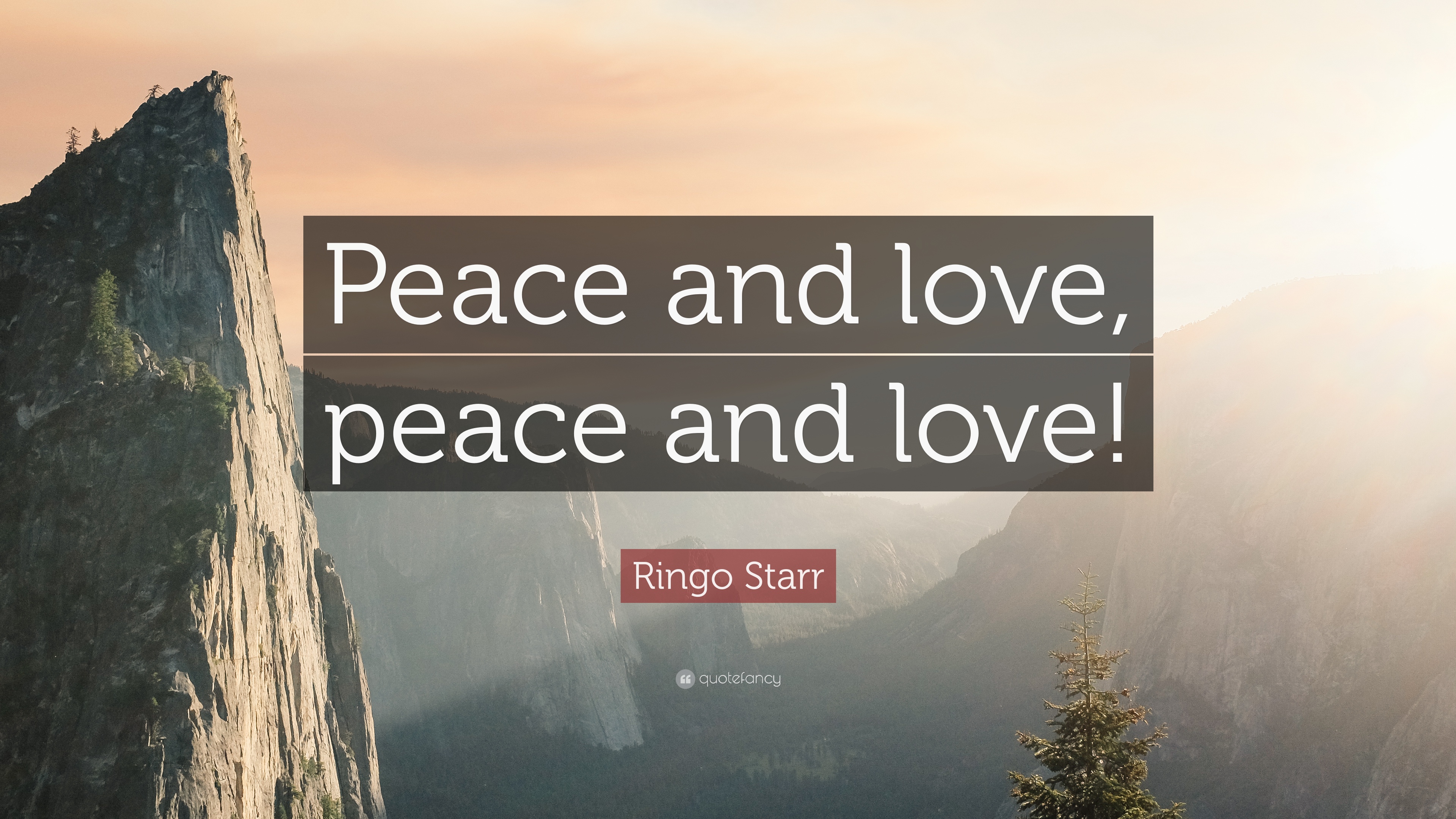 7 Ringo Quotes About Love