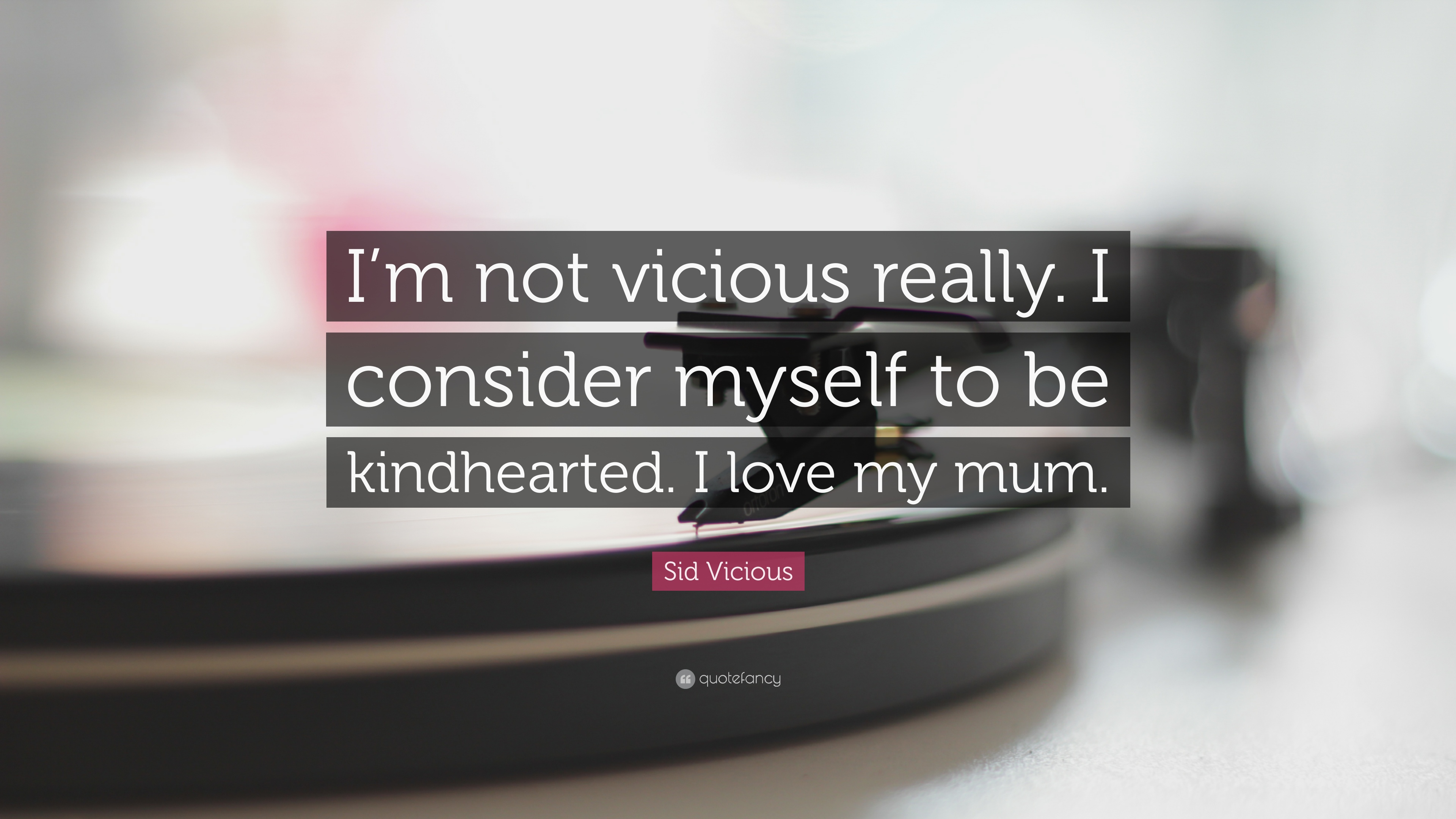 7 Sid Vicious Quotes About Love