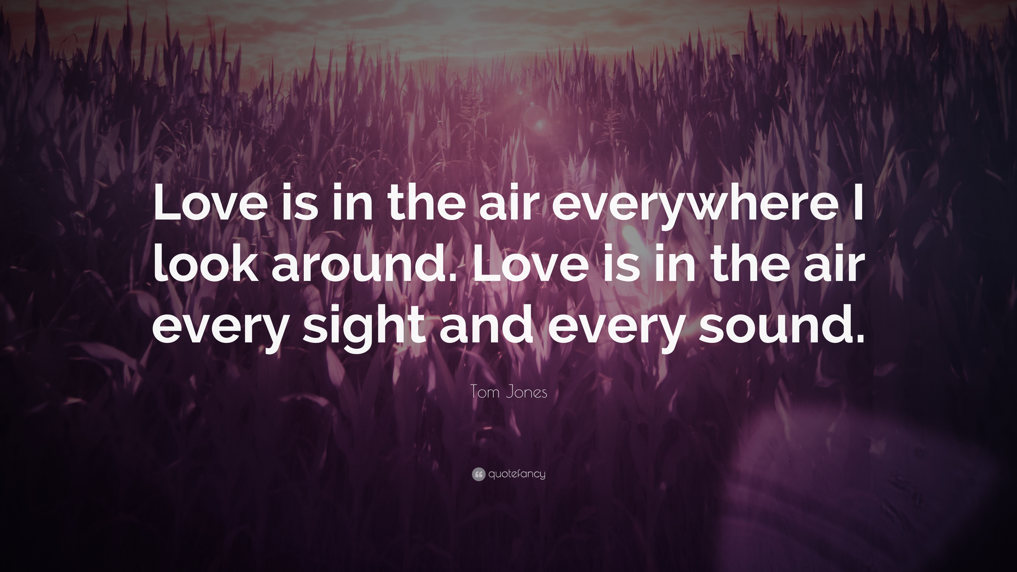 7 Steve Jones Quotes About Love