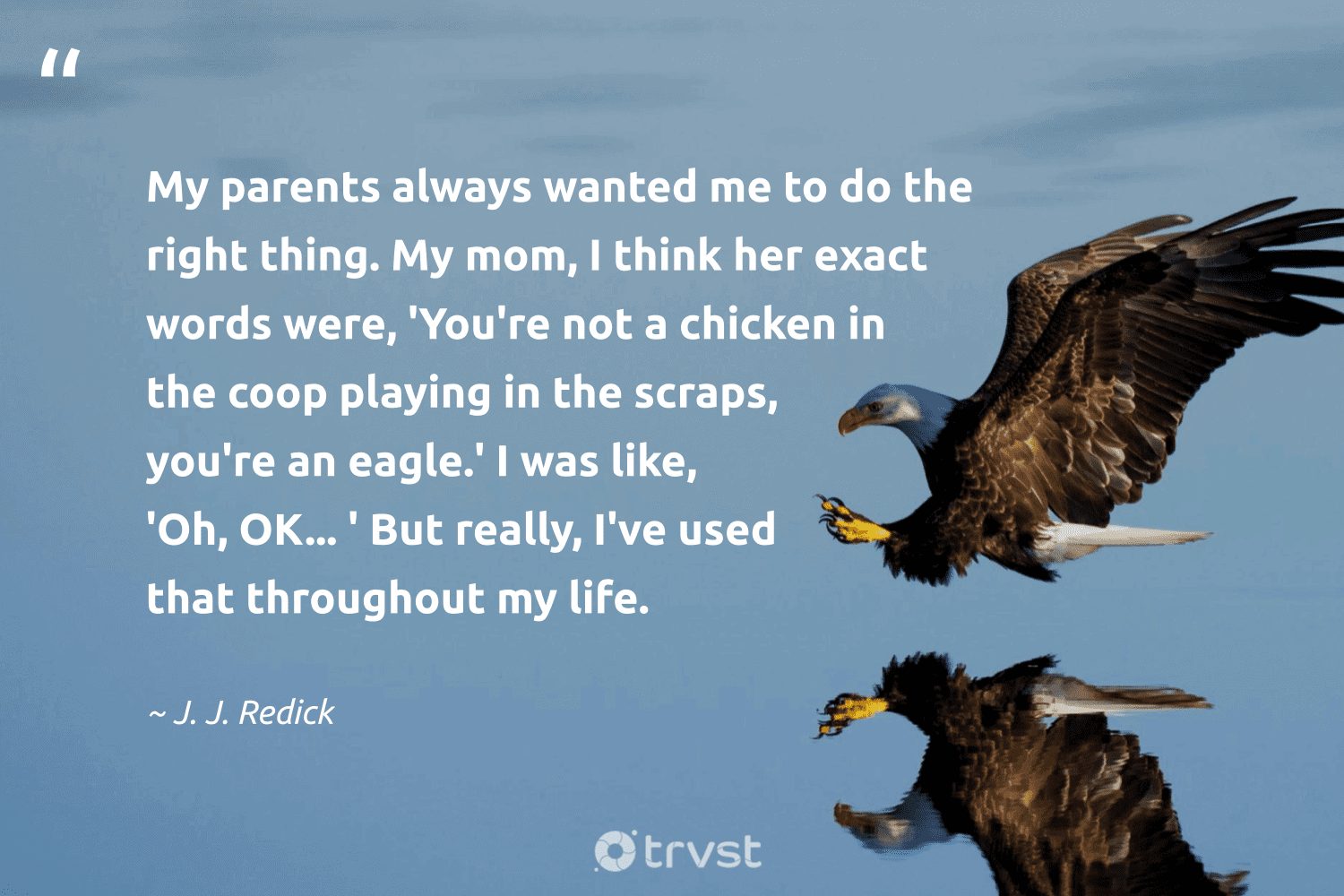 7 The Eagles Quotes About Life