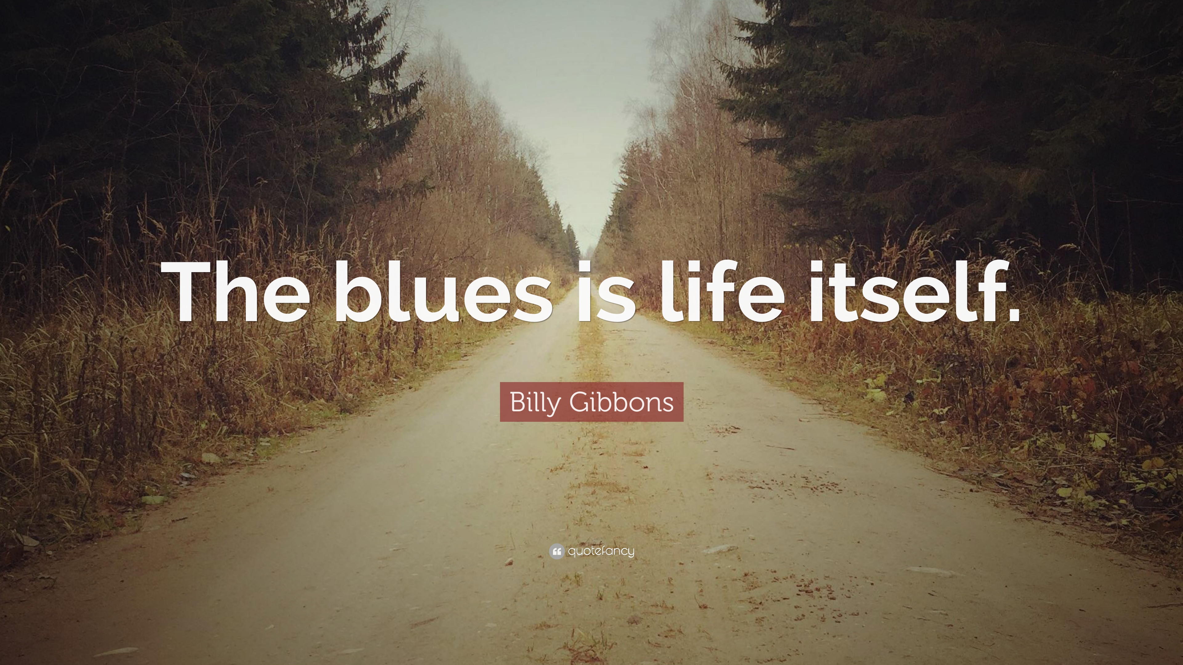 8 Billy Gibbons Quotes About Life