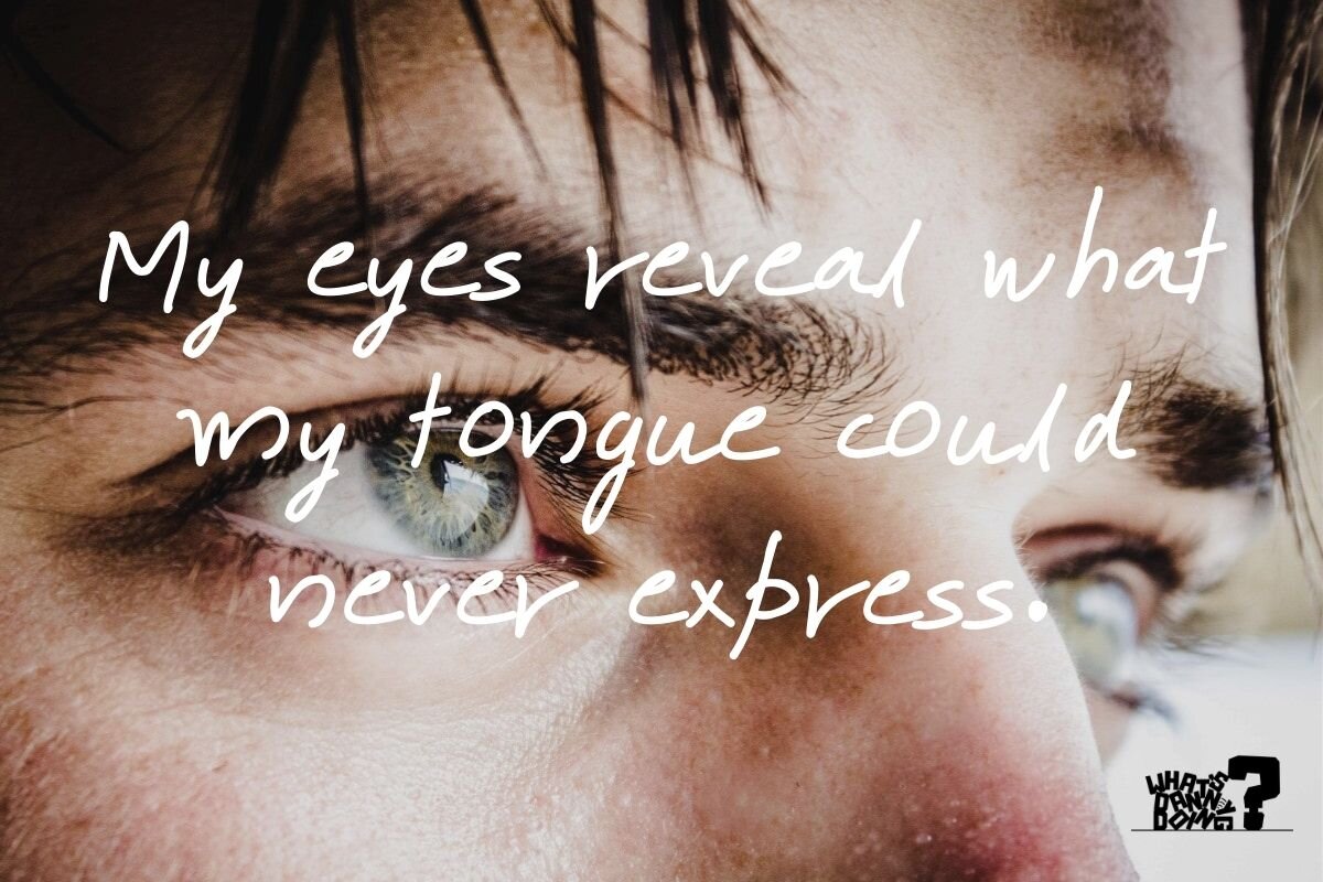 8 Bright Eyes Quotes About Life