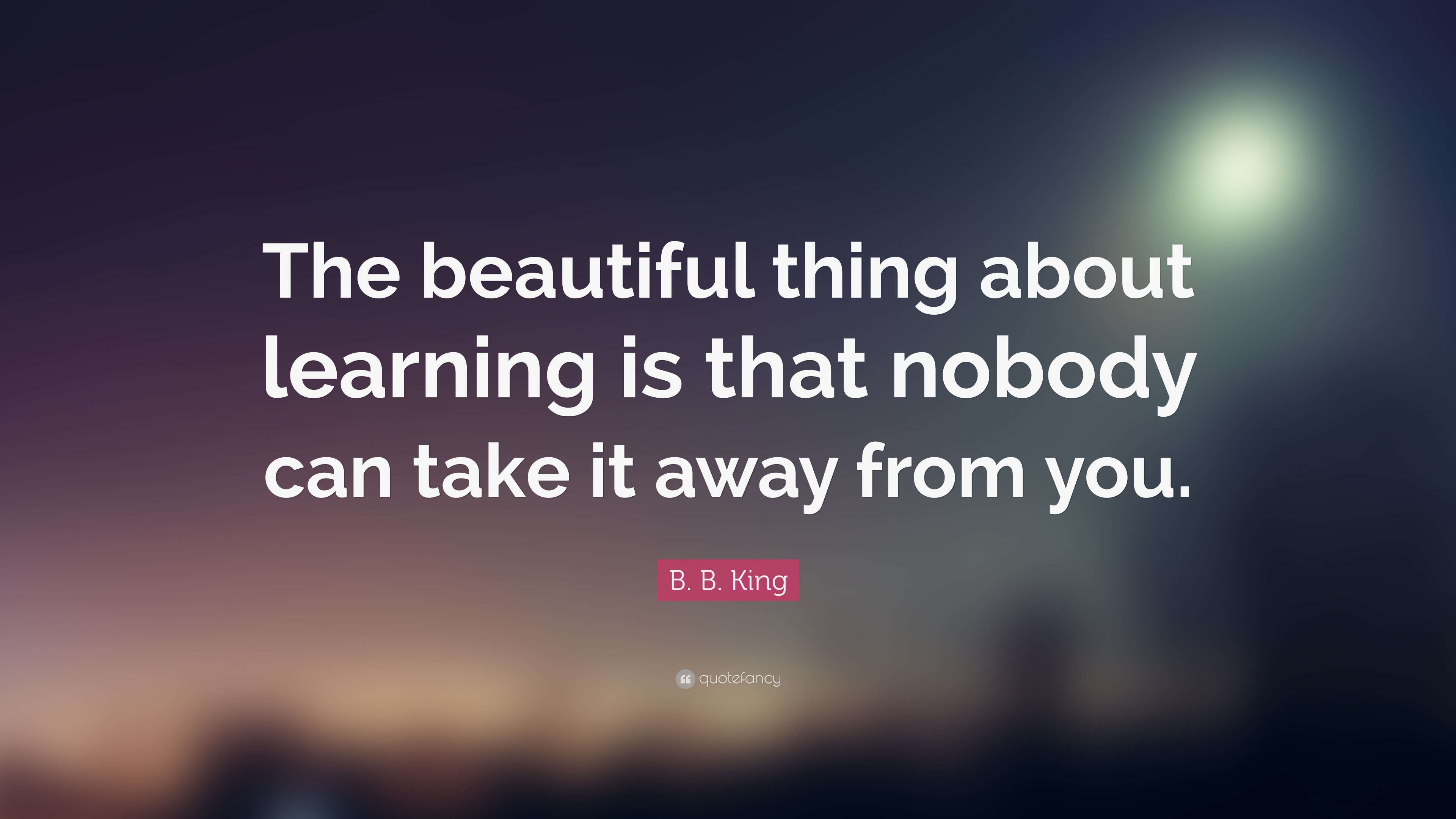 8 Inspirational Albert King Quotes