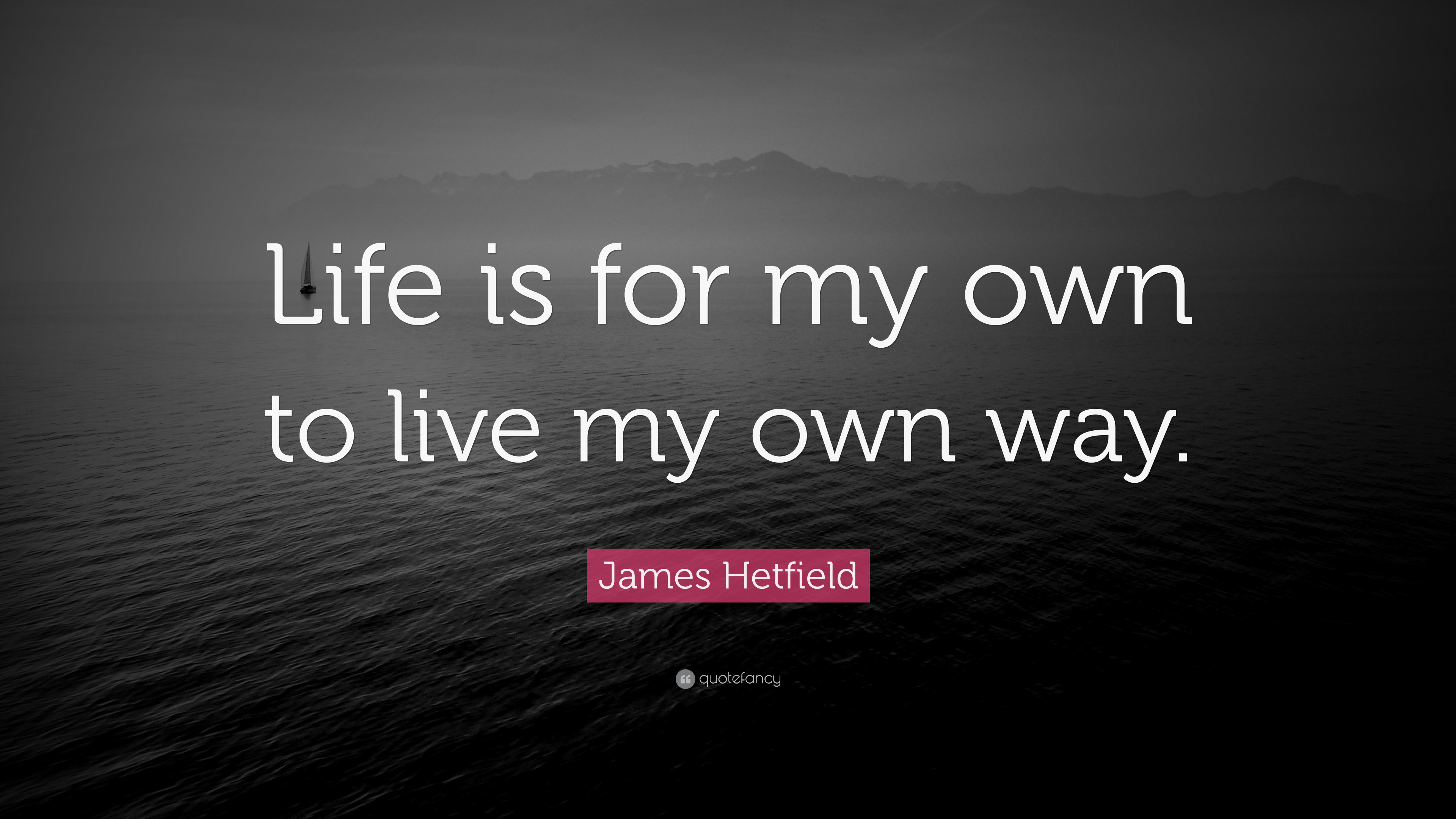 8 James Hetfield Quotes About Life
