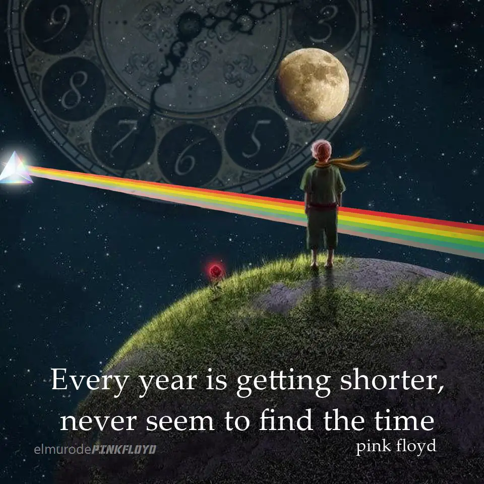 8 Quotes About Pink Floyd