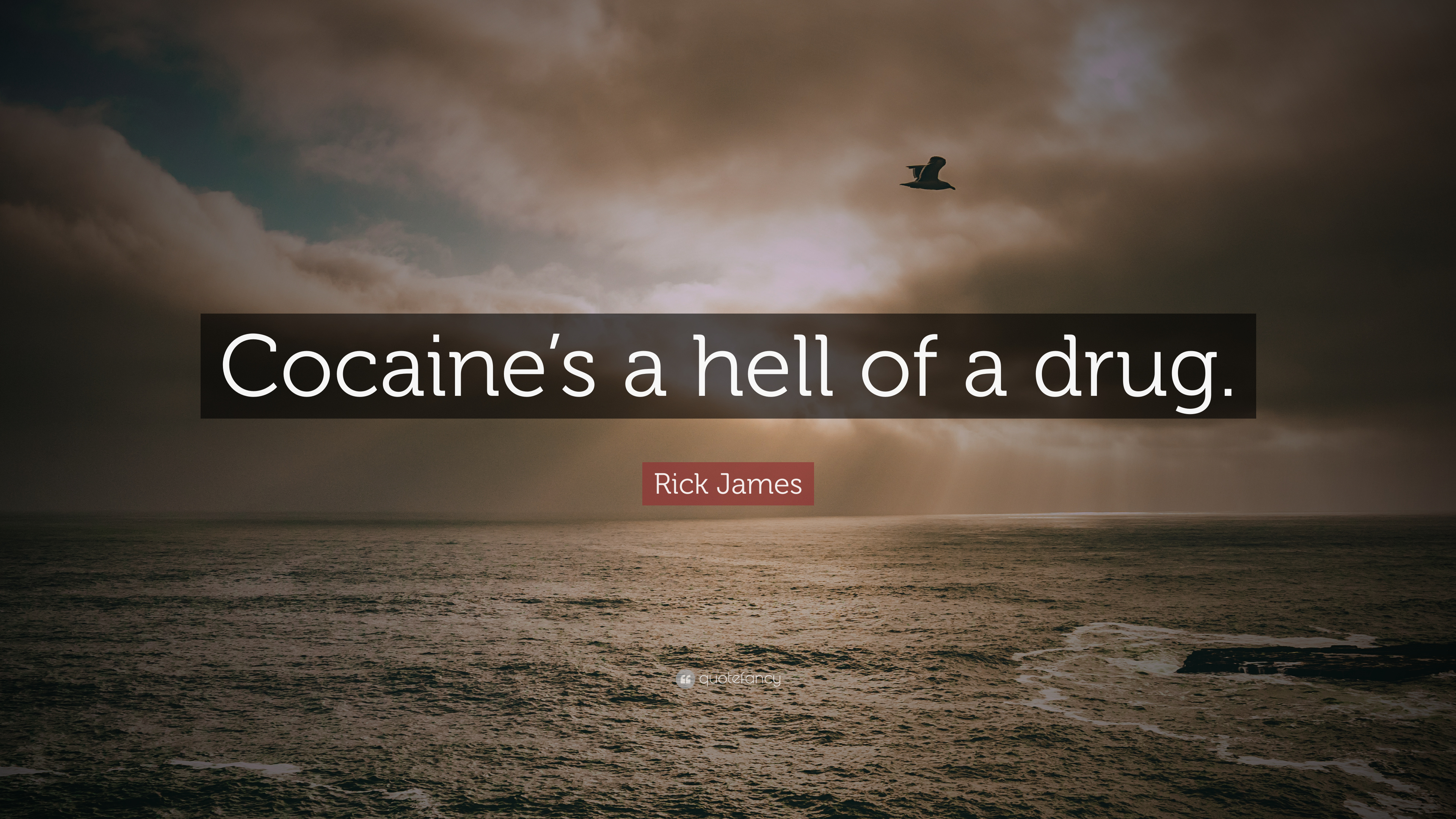 8 Quotes About Rick James
