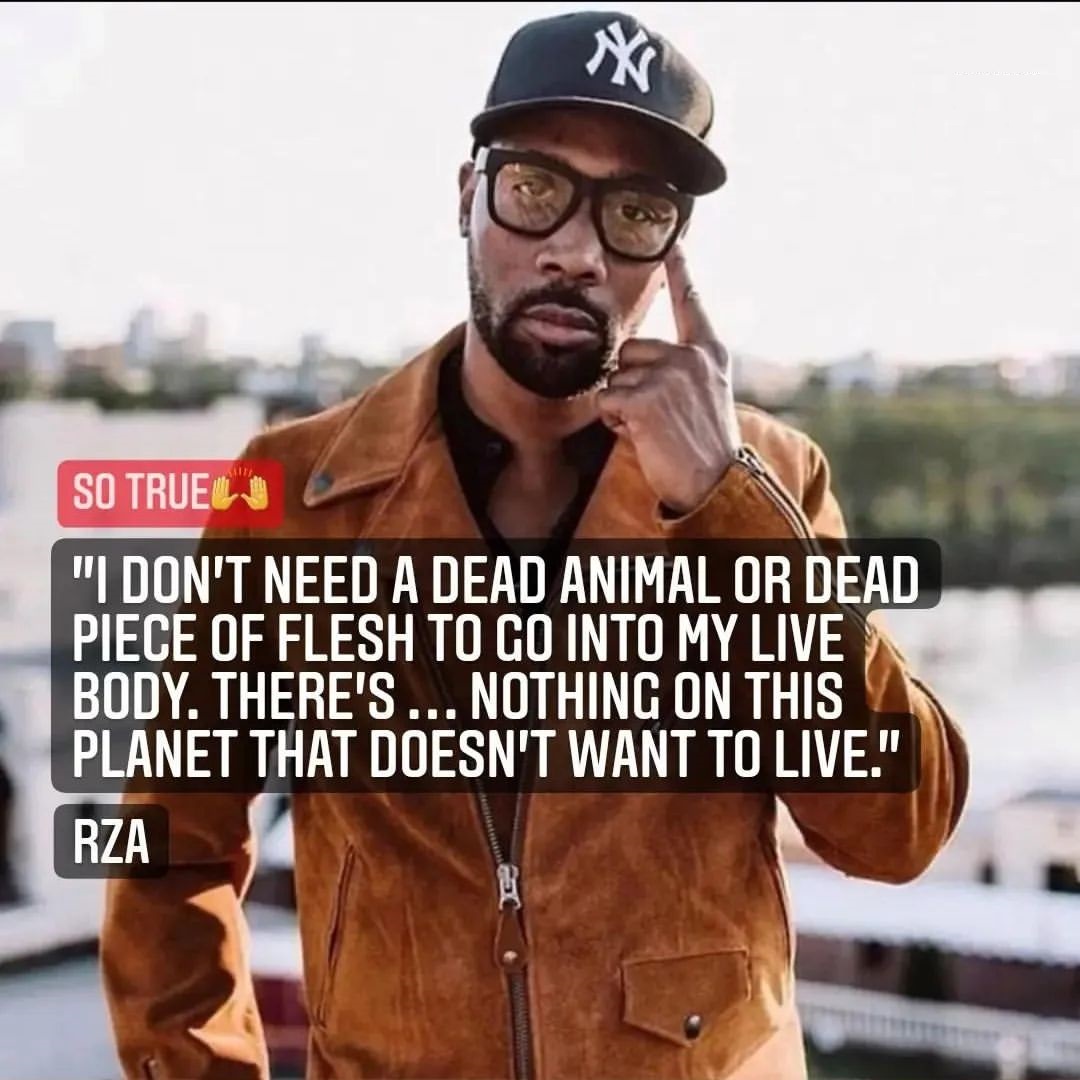 8 Rza Quotes About Life